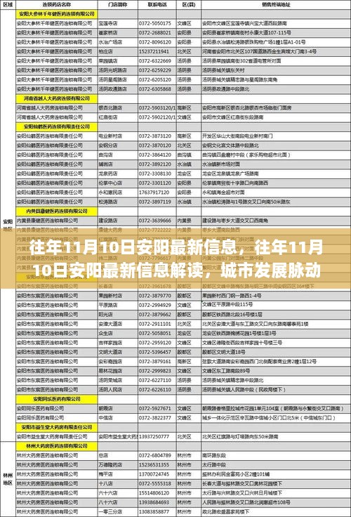 往年11月10日安阳最新信息解读，城市发展脉动与民生热点一览