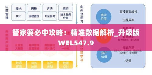 管家婆必中攻略：精准数据解析_升级版WEL547.9