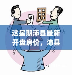 沛县本周新开盘房价分析，市场动态与购房决策指南