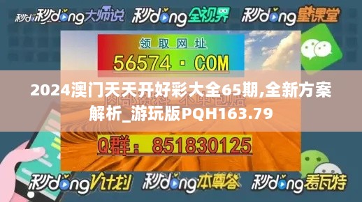 2024澳门天天开好彩大全65期,全新方案解析_游玩版PQH163.79