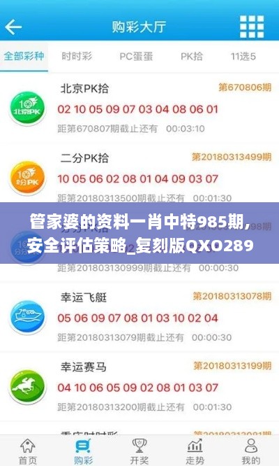 管家婆的资料一肖中特985期,安全评估策略_复刻版QXO289.85