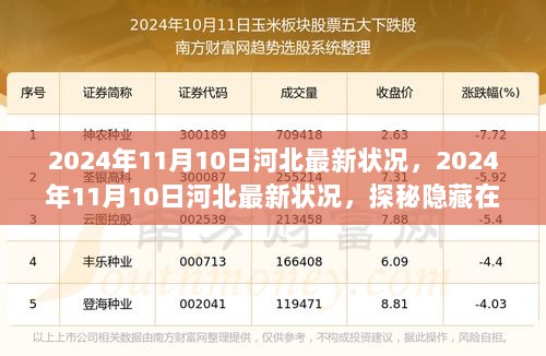 2024年11月10日河北探秘，隐藏在小巷的特色小店揭秘之旅