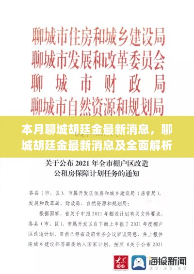 聊城胡廷金最新消息全面解析