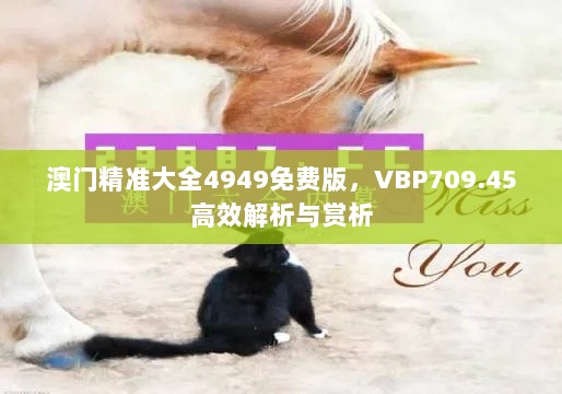 澳门精准大全4949免费版，VBP709.45高效解析与赏析