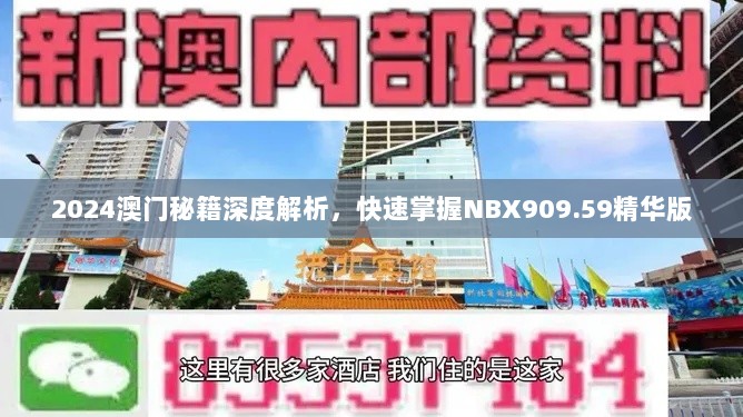 2024澳门秘籍深度解析，快速掌握NBX909.59精华版