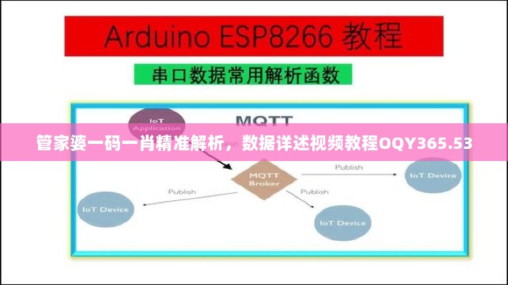 管家婆一码一肖精准解析，数据详述视频教程OQY365.53