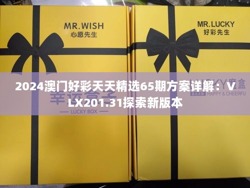 2024澳门好彩天天精选65期方案详解：VLX201.31探索新版本