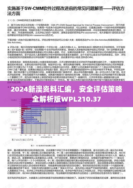 2024新澳资料汇编，安全评估策略全解析版WPL210.37