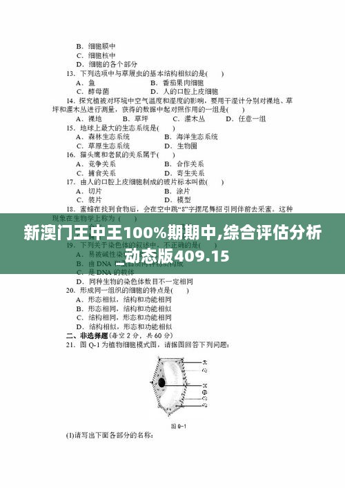 新澳门王中王100%期期中,综合评估分析_动态版409.15