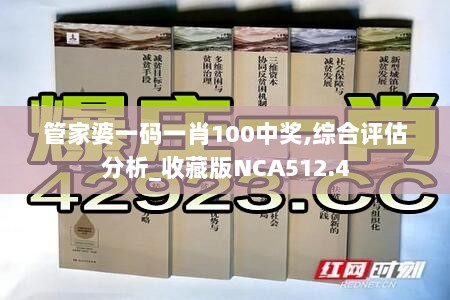 管家婆一码一肖100中奖,综合评估分析_收藏版NCA512.4