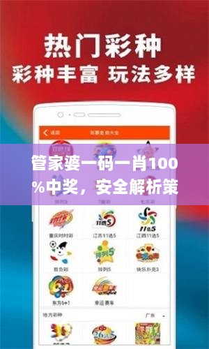 管家婆一码一肖100%中奖，安全解析策略_自助版FZV845.25