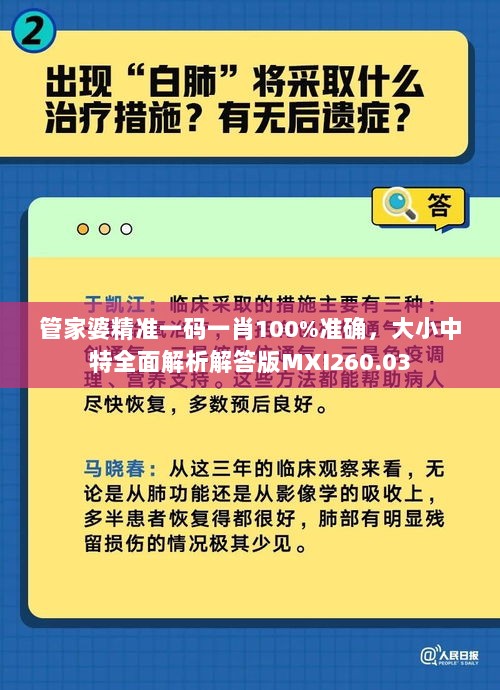 管家婆精准一码一肖100%准确，大小中特全面解析解答版MXI260.03