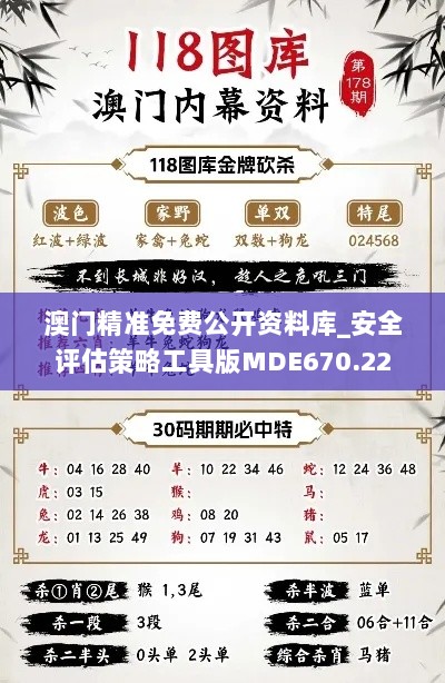 澳门精准免费公开资料库_安全评估策略工具版MDE670.22