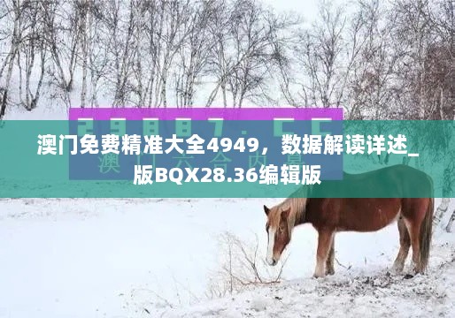 澳门免费精准大全4949，数据解读详述_版BQX28.36编辑版