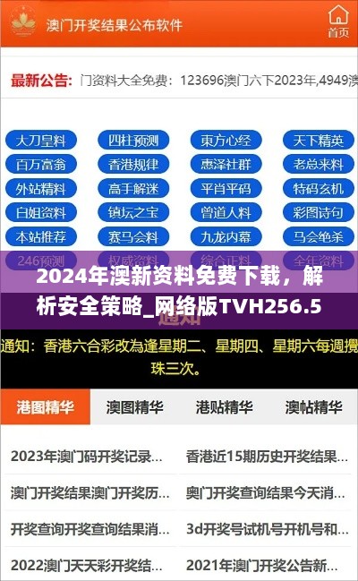 2024年澳新资料免费下载，解析安全策略_网络版TVH256.51指南