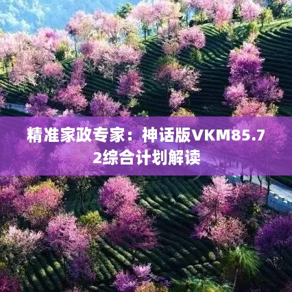 精准家政专家：神话版VKM85.72综合计划解读