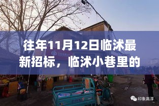 临沭小巷特色小店的独特魅力，11月12日最新招标揭秘