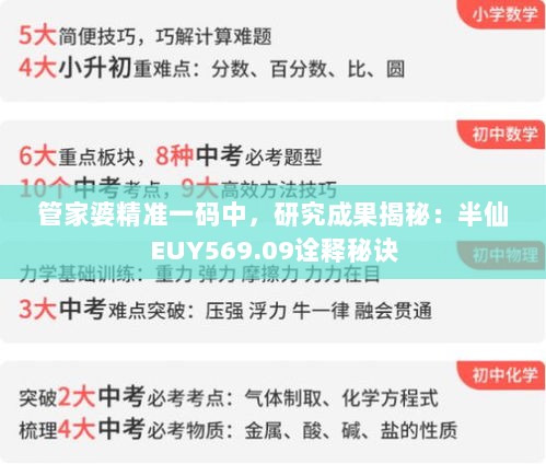 管家婆精准一码中，研究成果揭秘：半仙EUY569.09诠释秘诀