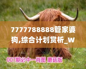 7777788888管家婆狗,综合计划赏析_WKI178.53铂金版