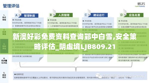 新澳好彩免费资料查询郢中白雪,安全策略评估_阴虚境LJB809.21