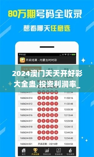 2024澳门天天开好彩大全蛊,投资利润率_EQK733.02筑基