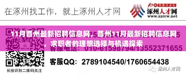 晋州11月最新招聘信息网，求职者的理想选择与机遇探索