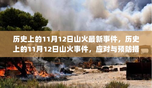 历史上的11月12日山火事件，应对与预防措施步骤指南