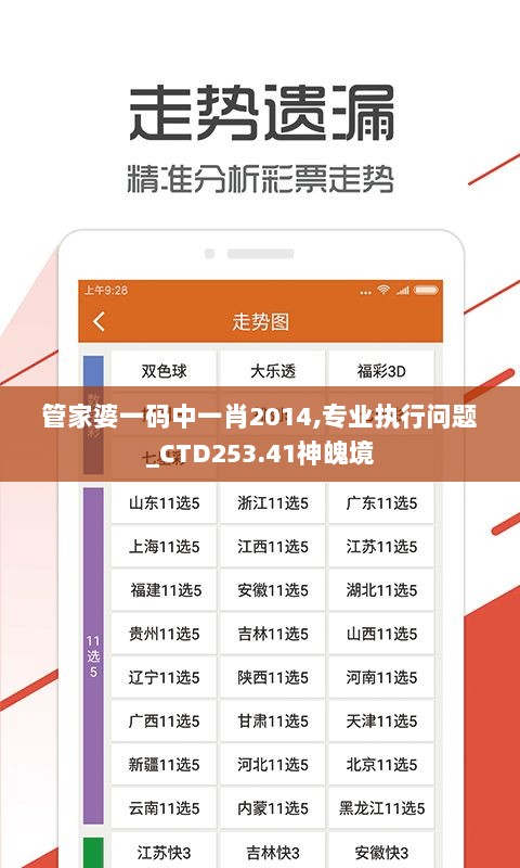 管家婆一码中一肖2014,专业执行问题_CTD253.41神魄境