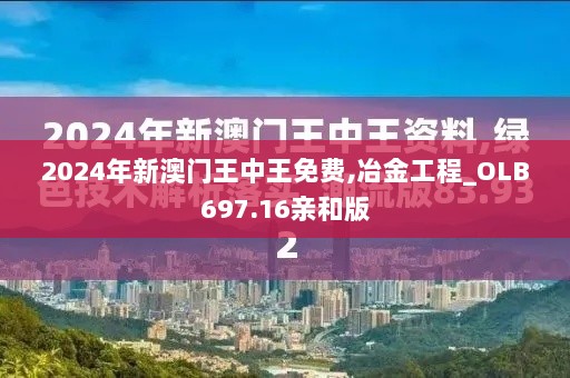 2024年新澳门王中王免费,冶金工程_OLB697.16亲和版