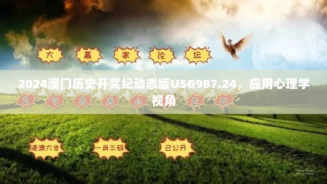 2024澳门历史开奖纪动态版USG987.24，应用心理学视角