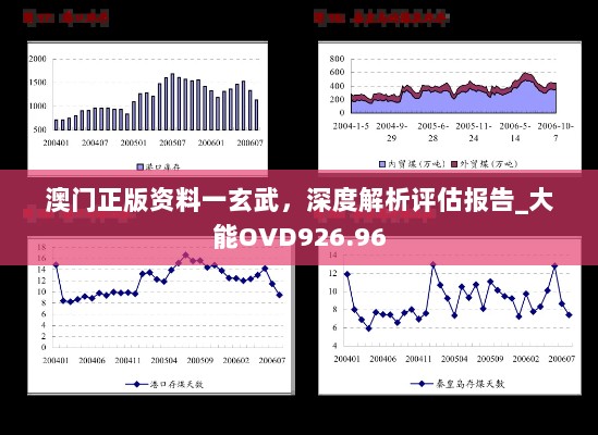 澳门正版资料一玄武，深度解析评估报告_大能OVD926.96