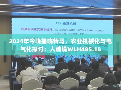 2024年今晚揭晓特马，农业机械化与电气化探讨：人魂境WLH485.18