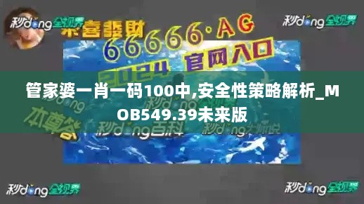 管家婆一肖一码100中,安全性策略解析_MOB549.39未来版