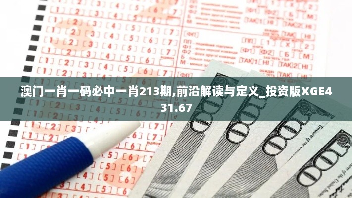 澳门一肖一码必中一肖213期,前沿解读与定义_投资版XGE431.67