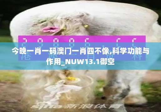 今晚一肖一码澳门一肖四不像,科学功能与作用_NUW13.1御空