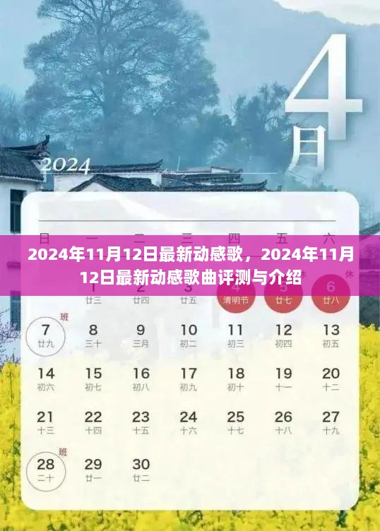 2024年11月12日最新动感歌曲评测与介绍