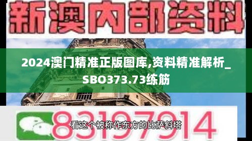 2024澳门精准正版图库,资料精准解析_SBO373.73练筋