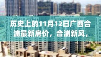 11月12日合浦新风，房价趣事与友情的温暖记忆