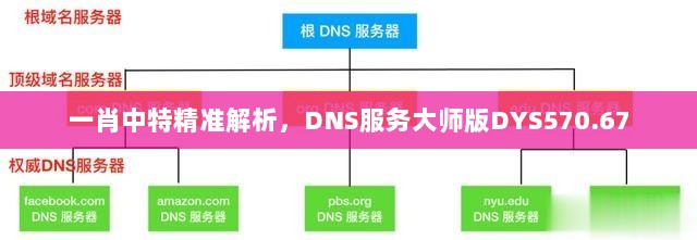 一肖中特精准解析，DNS服务大师版DYS570.67