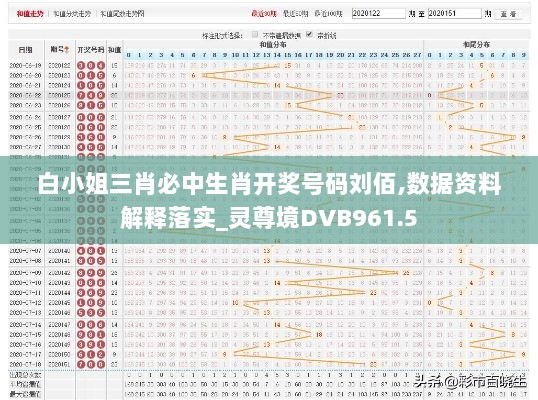 白小姐三肖必中生肖开奖号码刘佰,数据资料解释落实_灵尊境DVB961.5