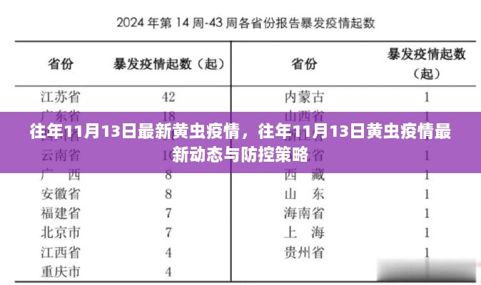 往年11月13日黄虫疫情最新动态与防控策略