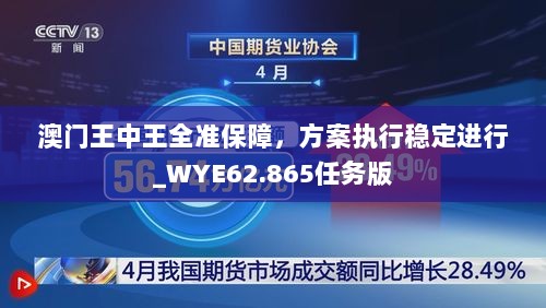 澳门王中王全准保障，方案执行稳定进行_WYE62.865任务版