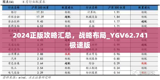 2024正版攻略汇总，战略布局_YGV62.741极速版