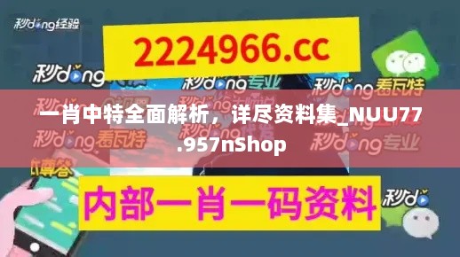 一肖中特全面解析，详尽资料集_NUU77.957nShop