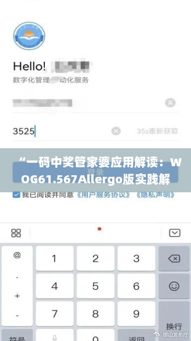 “一码中奖管家婆应用解读：WOG61.567Allergo版实践解析”