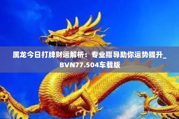 属龙今日打牌财运解析：专业指导助你运势提升_BVN77.504车载版