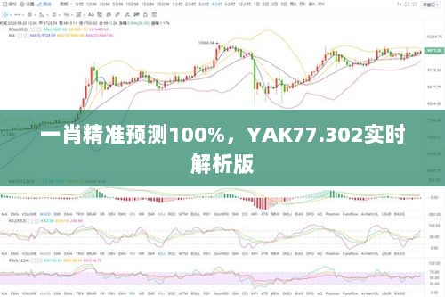 一肖精准预测100%，YAK77.302实时解析版