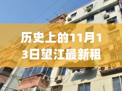 11月13日历史背景下的望江租房攻略，从信息了解到成功租住的指南