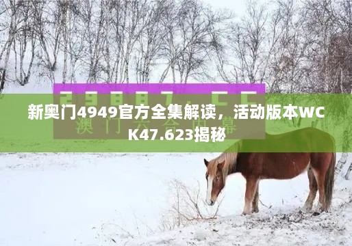 新奥门4949官方全集解读，活动版本WCK47.623揭秘