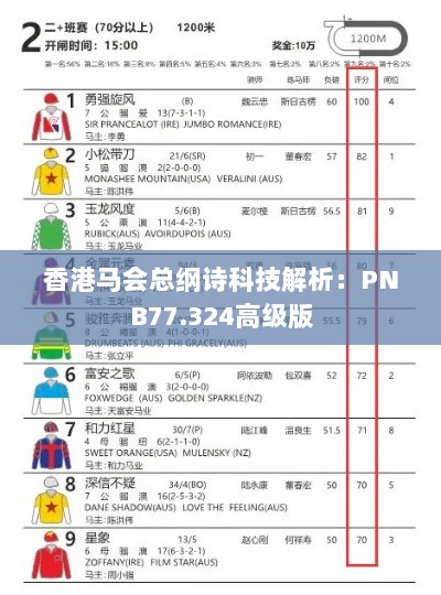 香港马会总纲诗科技解析：PNB77.324高级版